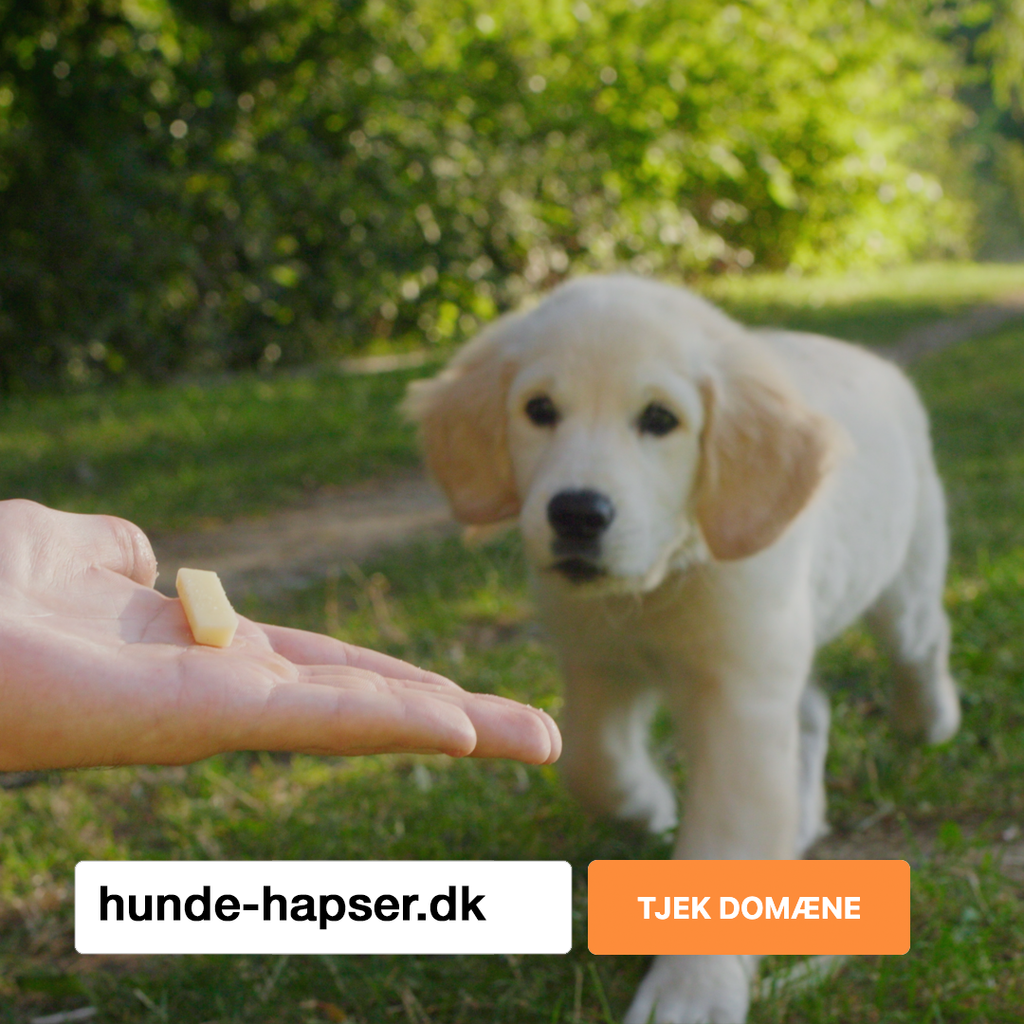 Hundehaps1