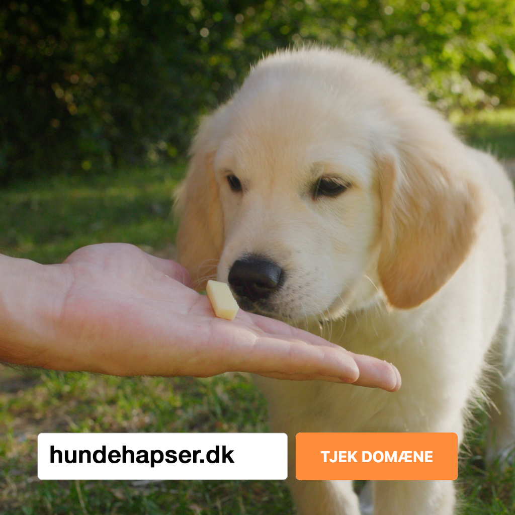 Hundehaps2