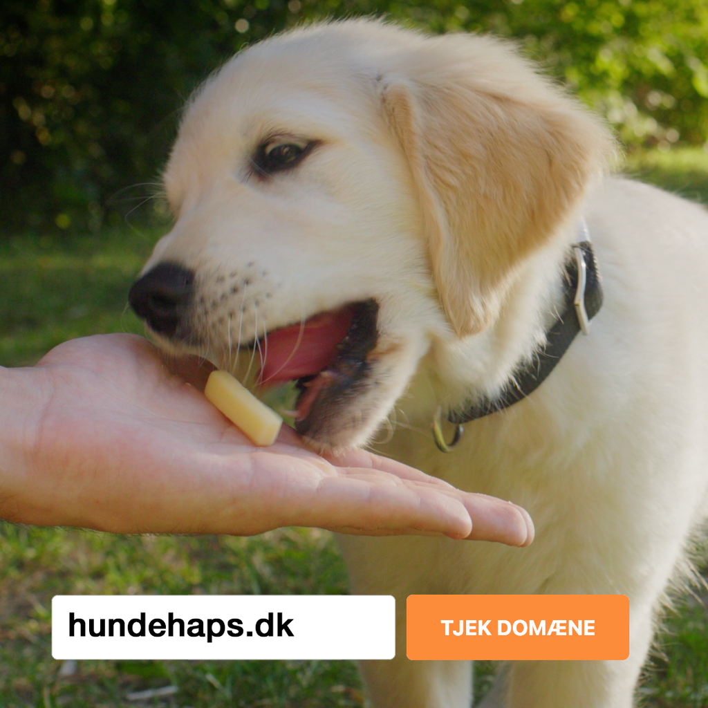 Hundehaps3